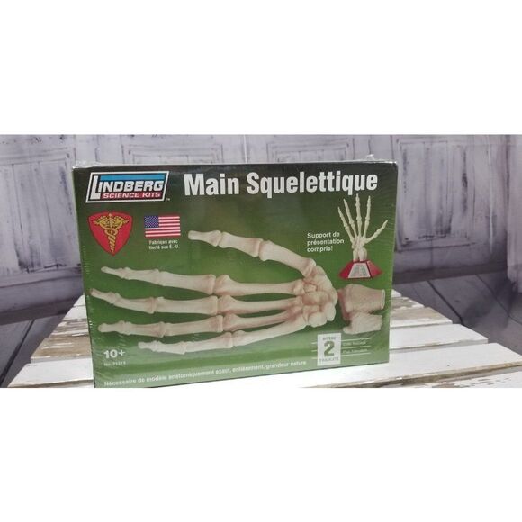 Lindberg Science Kits Skill 2 hand anatomy skeleton Educational Lloyd 71313 bone - Picture 3 of 6
